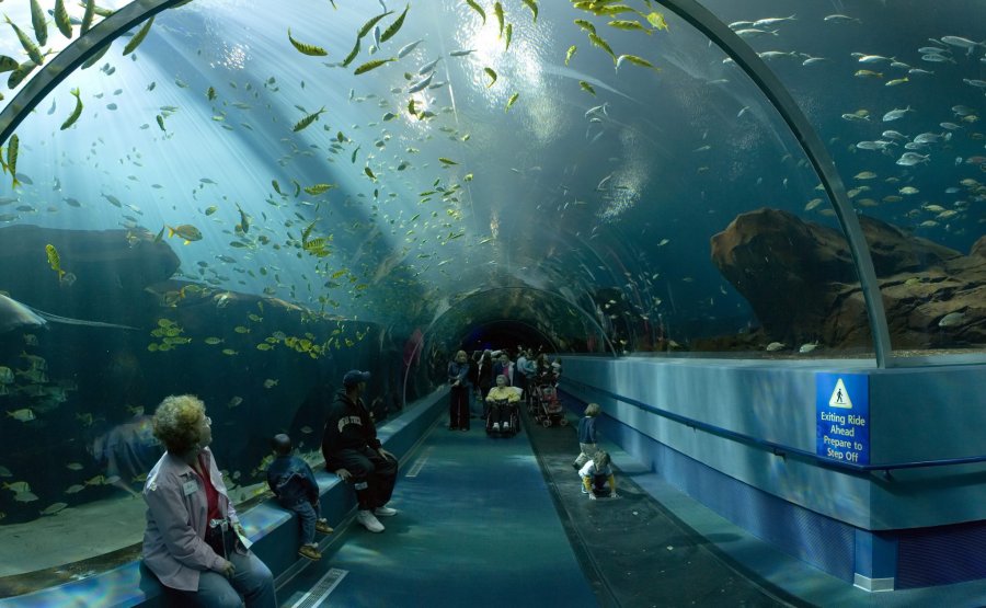 Тоннель Сиднейского аквариума